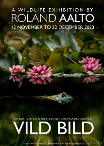 Vild Bild Exhibition Poster 2023 - Roland Aalto