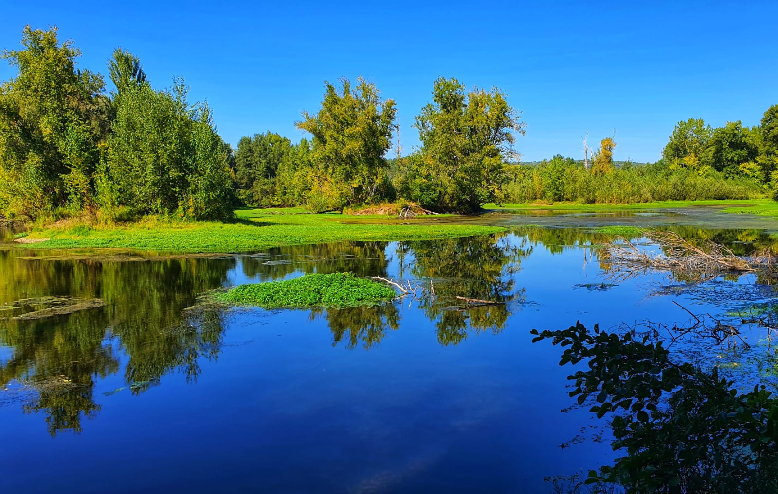 Dordognefloden frankrike
