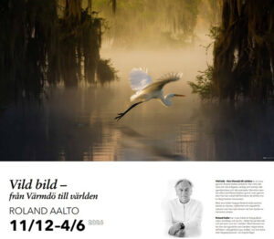 Exhebition Fotoparken Varmdo Gustavsberg 2025-2026 Roland Aalto